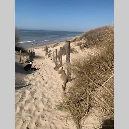 Villa Moderne Forêt/plage