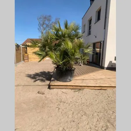 Moderne Forêt/plage